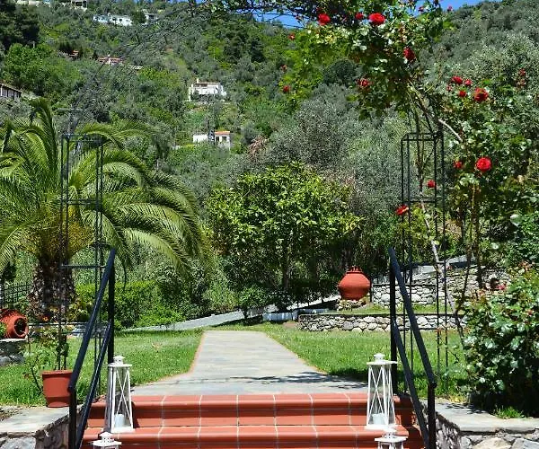 Skiathos-filokalia Achladies (Skiathos)