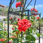 Skiathos-filokalia Apartment Achladies (Skiathos)