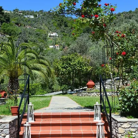 Skiathos-filokalia Achladies (Skiathos)