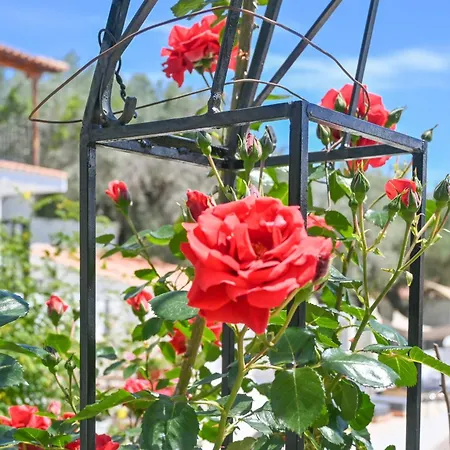 Skiathos-filokalia Apartment Achladies (Skiathos)