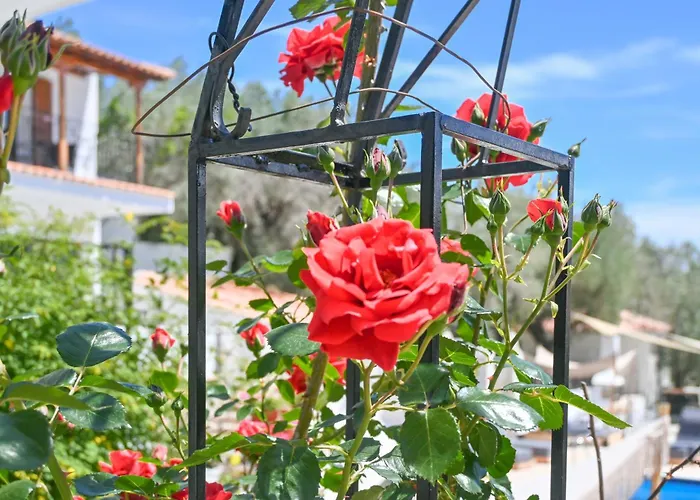 Skiathos-filokalia Apartament Achladies (Skiathos)